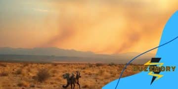 Southwest heat wave wildfire risk: what you need to know
